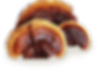 Group 1000003005 (1).png