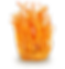 Cordyceps