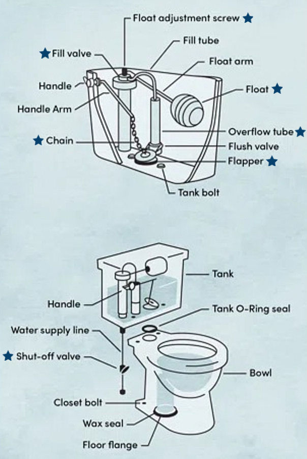 Diagram of a toilet and tank components labeled: float, fill valve, flapper, shut-off valve, flush handle. Blue background.