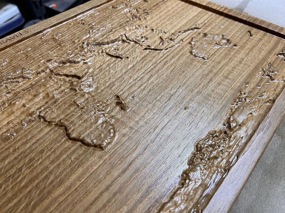 Thumbnail: 3D Topographical World Map