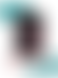 The Price of Mercy - Misti Wilds