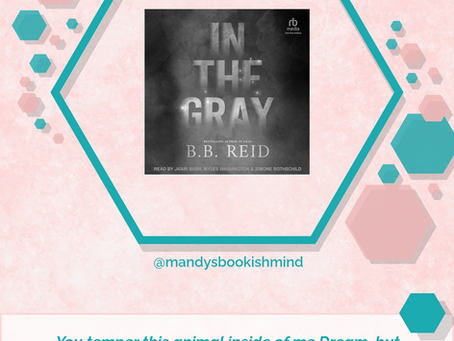 In the Gray - BB Reid