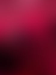 decorating is for the girls