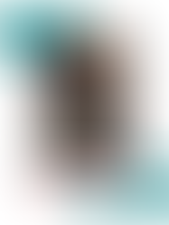 Gray Vengeance - B.K. Thorne