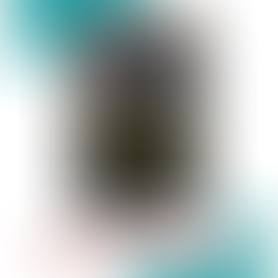 Waking Estella – Ivy Lane 