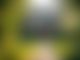 Client Success Stories: Homes Sold by Nelson Pasciullo