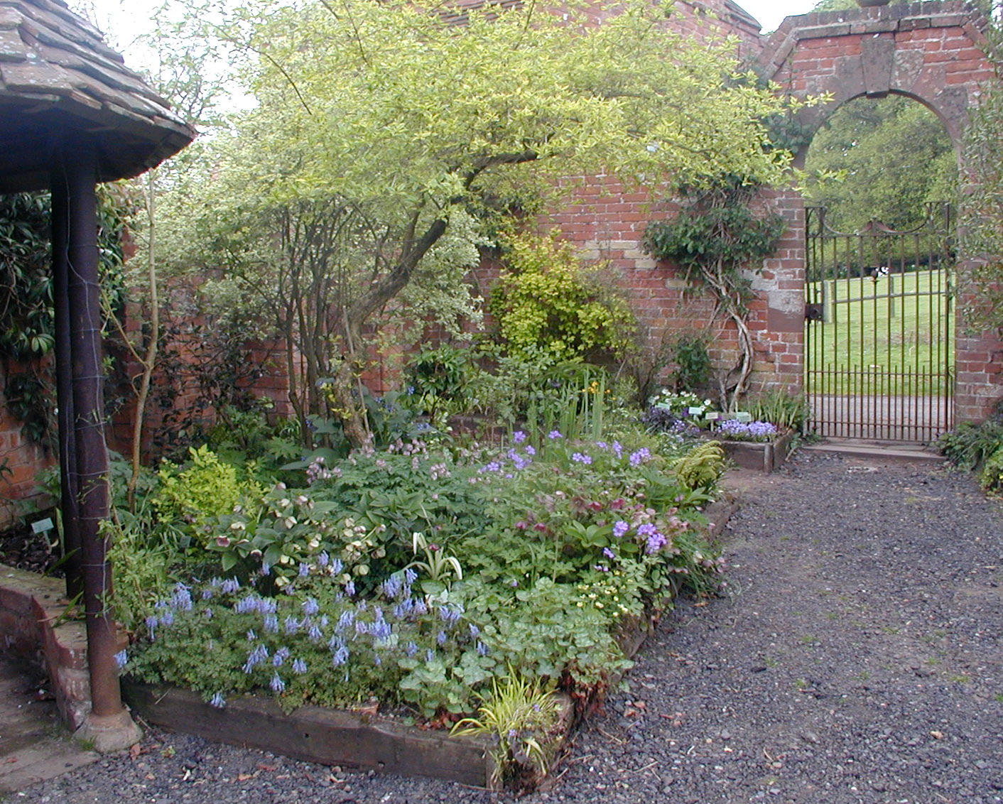 Photographs of Stone House Cottage Garden & Nursery