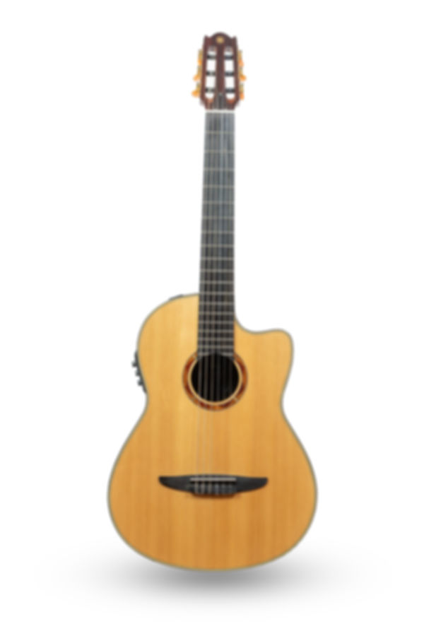 New Yamaha NCX1200R Nylon