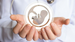 Dia 24: em meio à pandemia, STF pauta liberação do aborto para casos do vírus zika