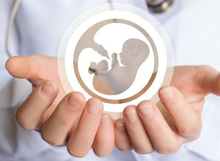 Dia 24: em meio à pandemia, STF pauta liberação do aborto para casos do vírus zika