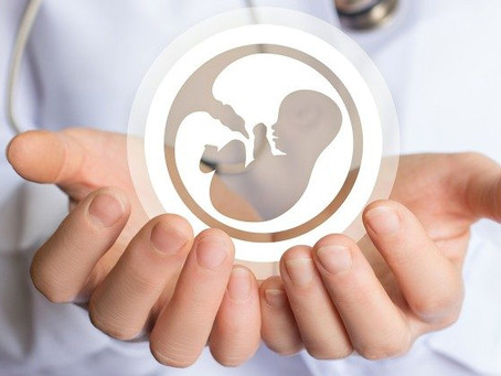 Dia 24: em meio à pandemia, STF pauta liberação do aborto para casos do vírus zika