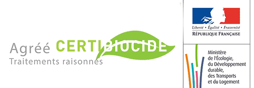 Entreprise certifiée certibiocide pour la destruction de nids de frelons et de guêpes à meaux, mareuil les meaux