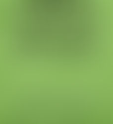 Love, Marriage, And The Spectrum