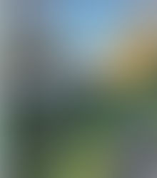 A Living Cloud Of Irish Witnesses - Hymns For The Saints Of Ireland