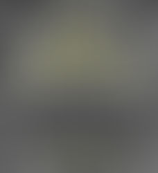 The Boxcar Chronicles