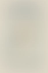 The World In My Bones