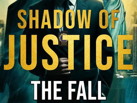 Shadow Of Justice The Fall And Rise