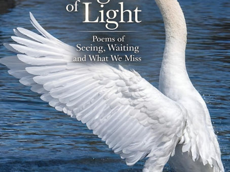 In The Margins Of Light