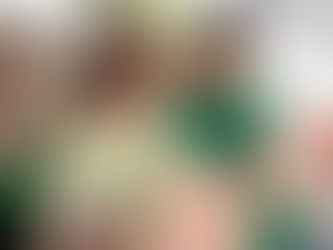 Avanzan en el Congreso del Edomex iniciativas del PVEM contra la violencia vicaria