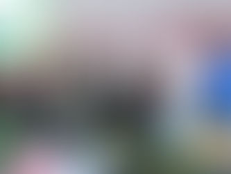 Deschatarrización de bienes estatales y municipales, plantea GPmorena en el Congreso del Edomex