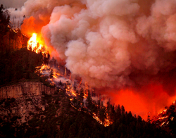 Fires.PNG