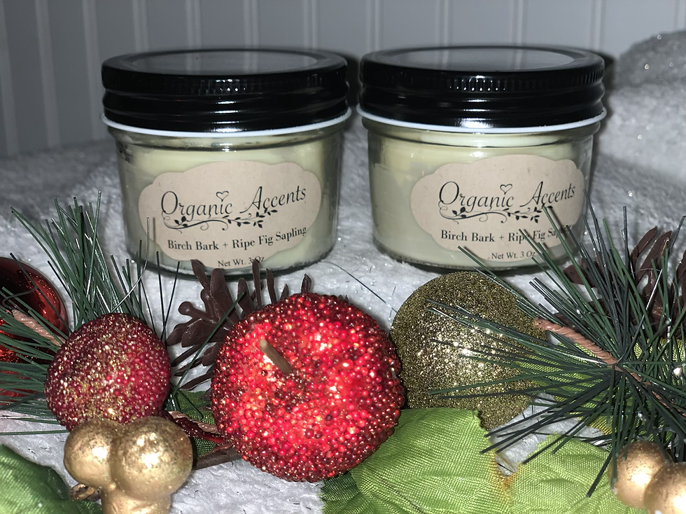 Birch Bark + Ripe Fig Sapling