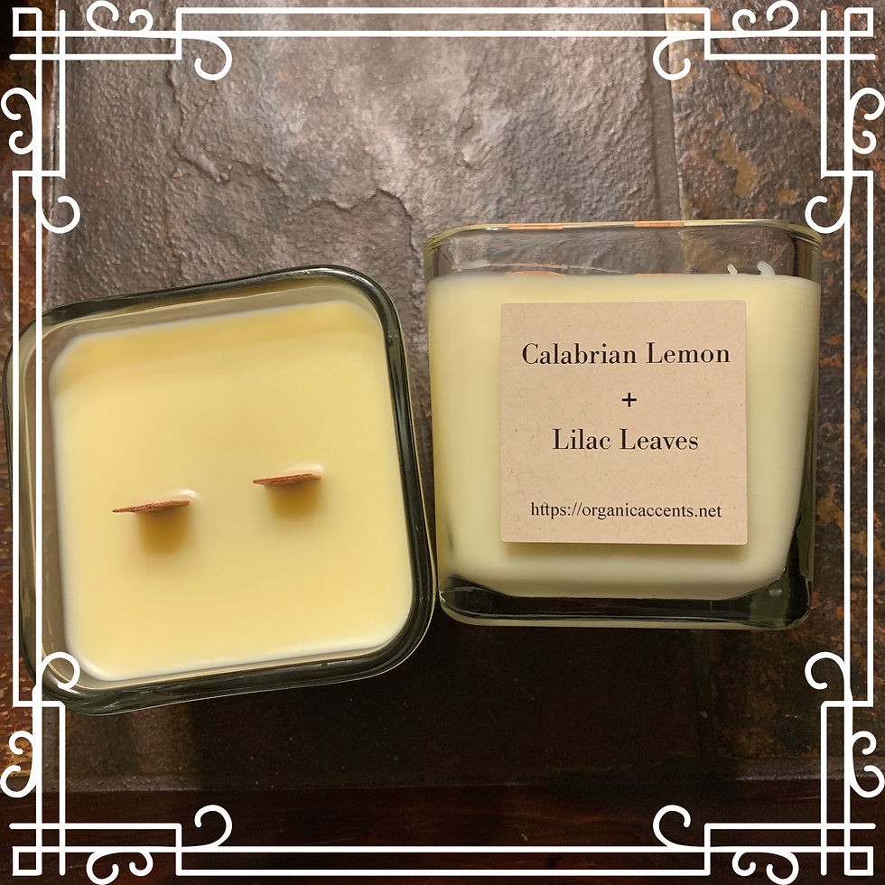 Calabrian Lemon + Lilac Leaves