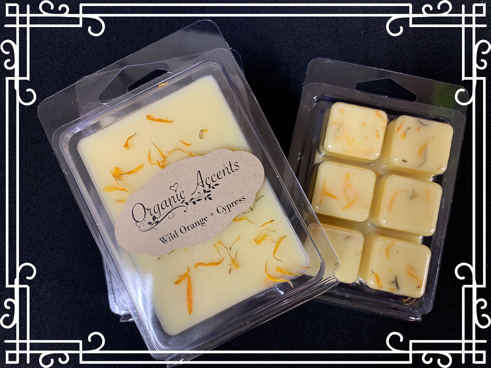 Wild Orange 🍊 + Cypress