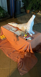 Paper Mache Pig Carcasses White Coat Painting