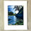 Thumbnail: "Reflections At Francis Point" PRINT