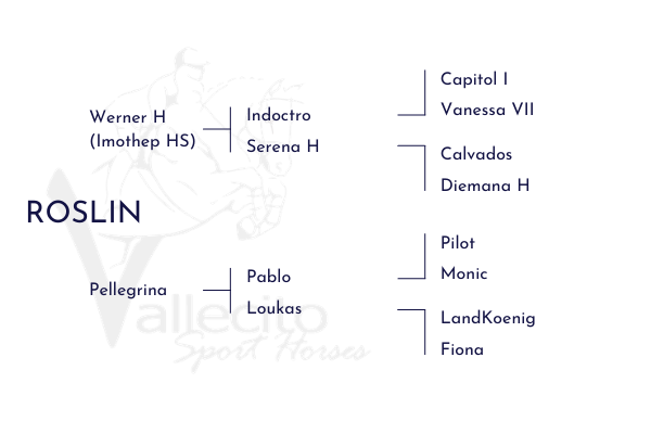 ROSLIN.png