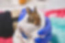 IMG_7778.jpeg