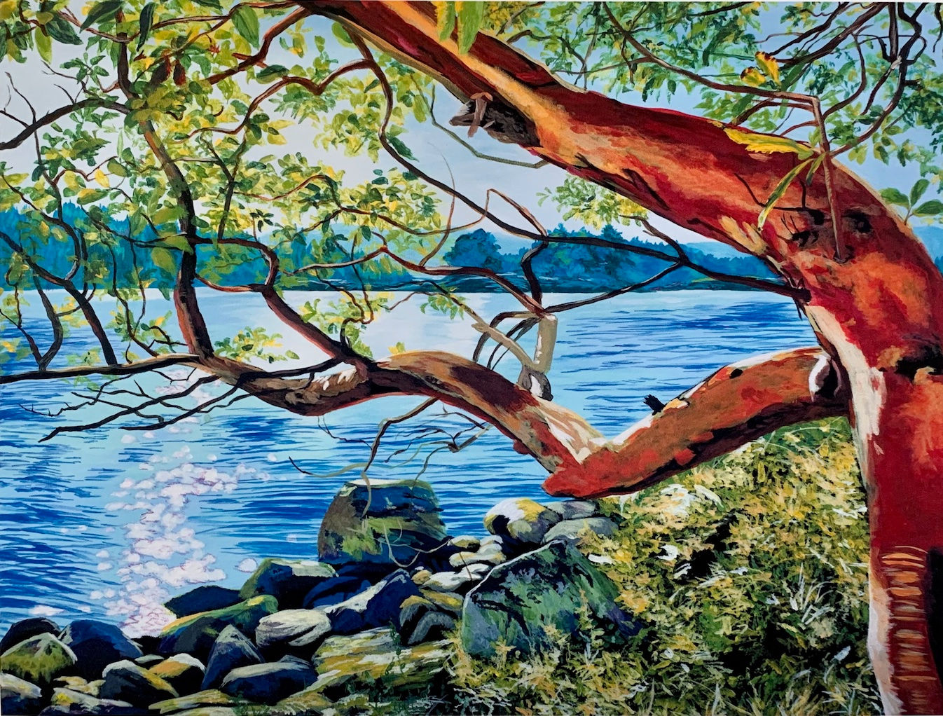 Arbutus Art Print, Coastal Art Print, West Coast Art Print