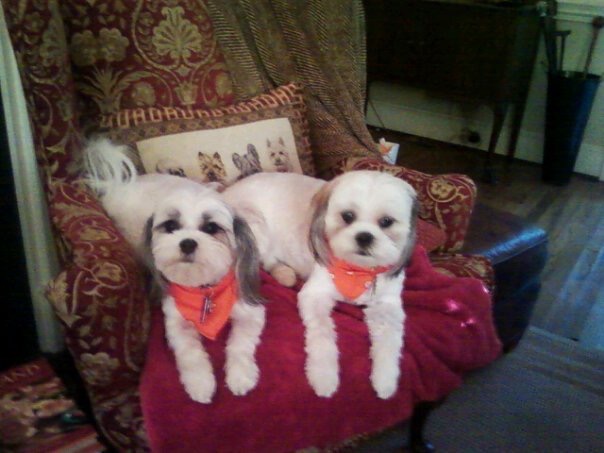 Pippy and Chloe