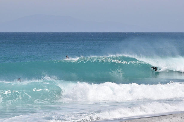 1617365484460 (1).jpg