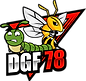 Logo d'accueil DGF 78