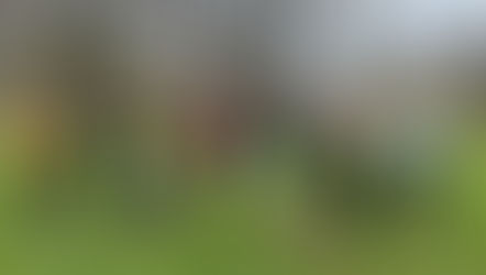 Walk With Us: Connection in Motion