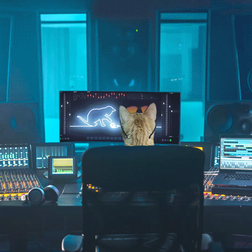 Gatocito_MasteringMusic-2.gif