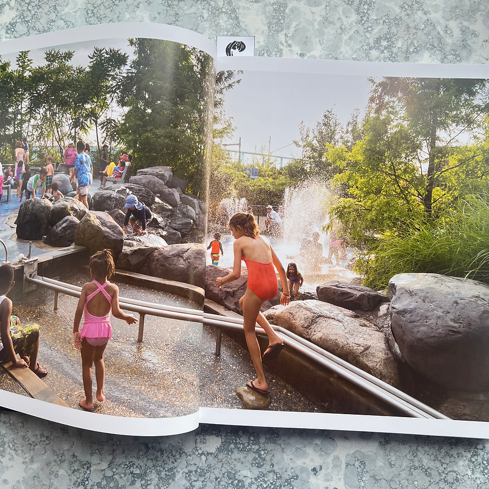 Thumbnail: Brooklyn Bridge Park