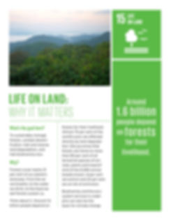 15_Why-it-Matters_Goal15__Life-on-Land_3