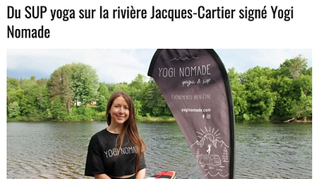 carrefour.png