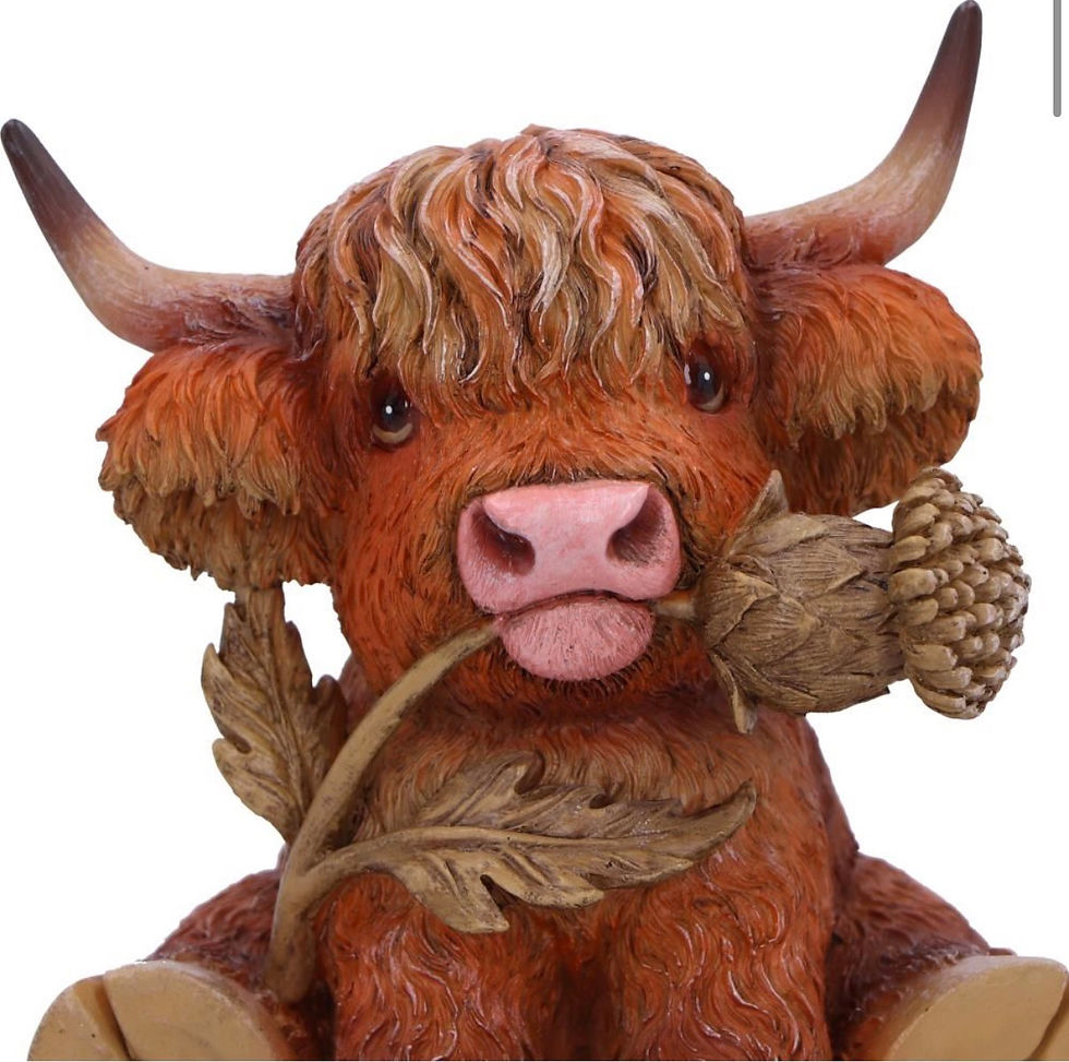Thumbnail: Highland Cow with Thistle Figurine 10.5cm