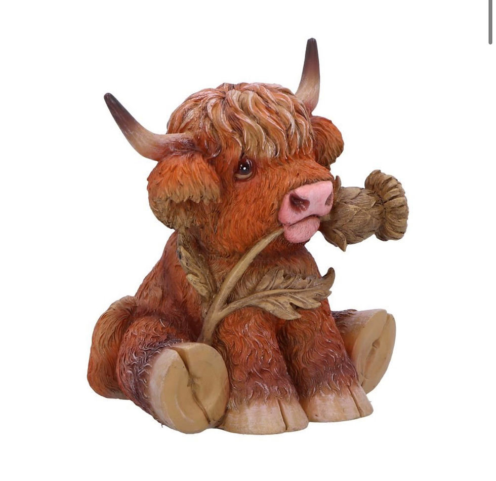 Thumbnail: Highland Cow with Thistle Figurine 10.5cm