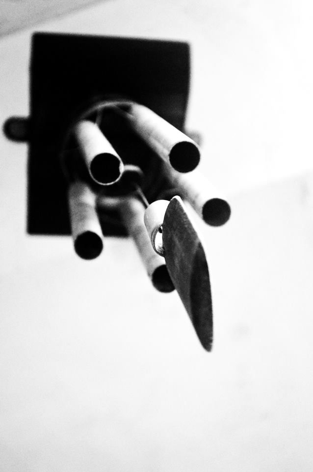 Photos taken by Chezka Prejido