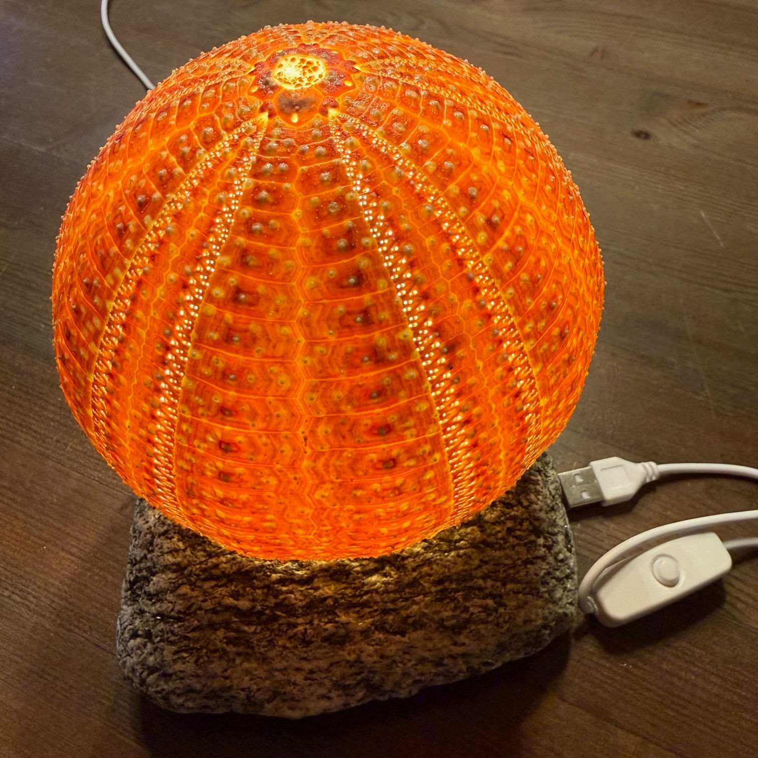 Kråkebollelanterne på steinsokkel, usb-kabel, stor