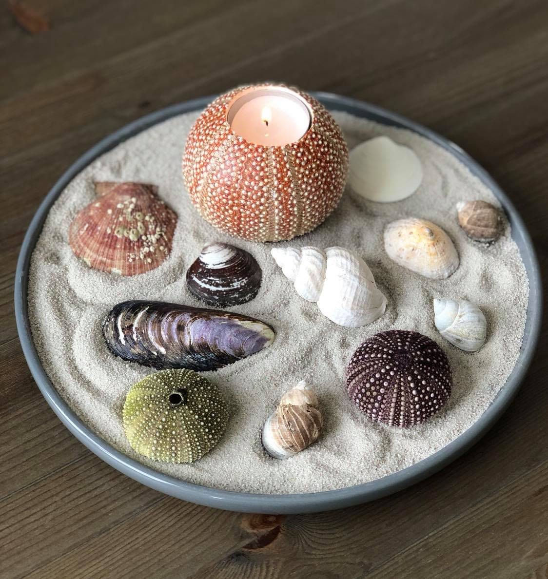 Kråkebolle dekorasjons fat