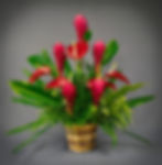 VD106- $ 80.00