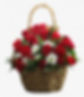 VD101- $280.00