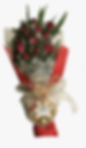 VD102- $200.00