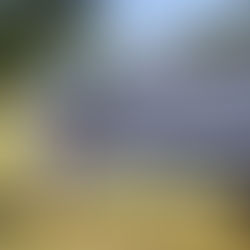 Waterfalls and Alpaca's